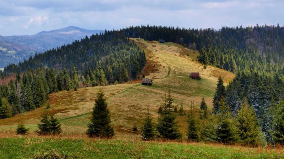 Wasielowka Poreba Wielka  Экстерьер фото